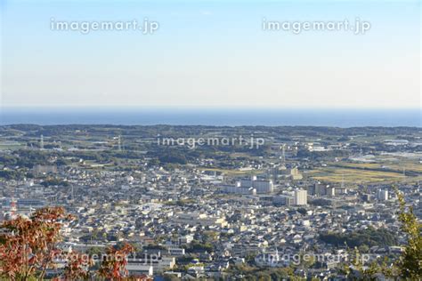 田原市(愛知)でおすすめのデリヘル一覧